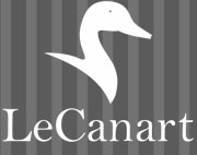 Máquina depilación láser SHR Máquina depilación láser SHR